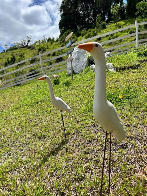 Sitio Vale Das Pedras Alfredo Wagner Kültér fotó